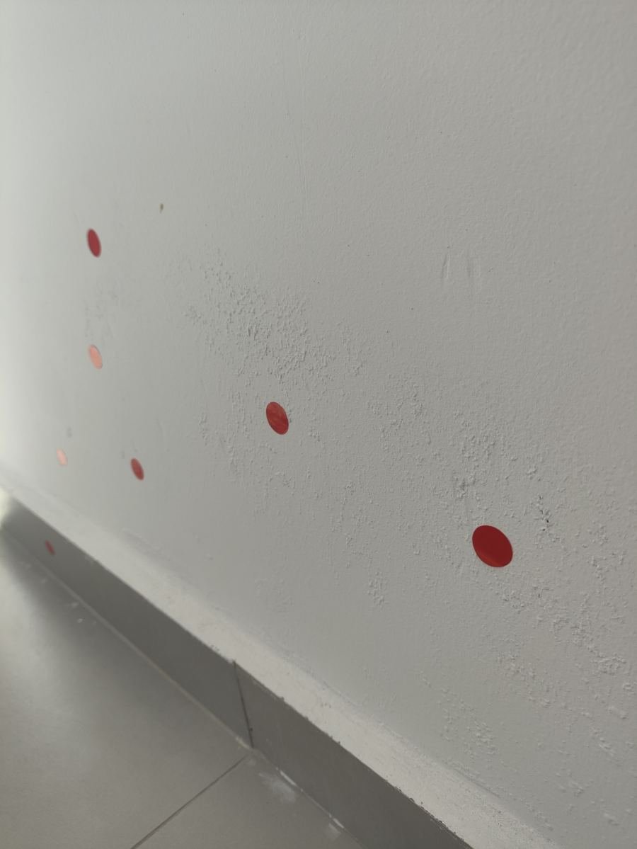 Engenheira da SIOG realizando vistoria em obra